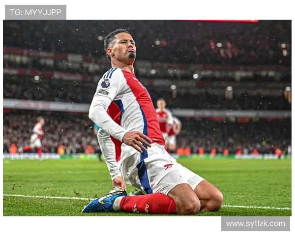 威廉·萨利巴在法国国家队轮换体系中的角色解析 威廉·萨利巴在法国国家队轮换体系中的角色解析